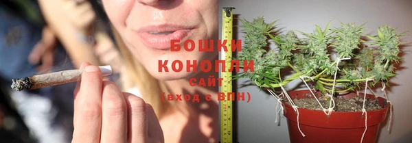 ALPHA PVP Покачи