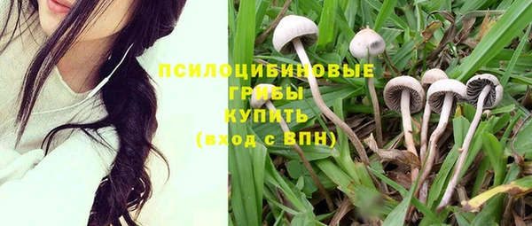 соль курить ск Алзамай