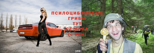 соль курить ск Алзамай